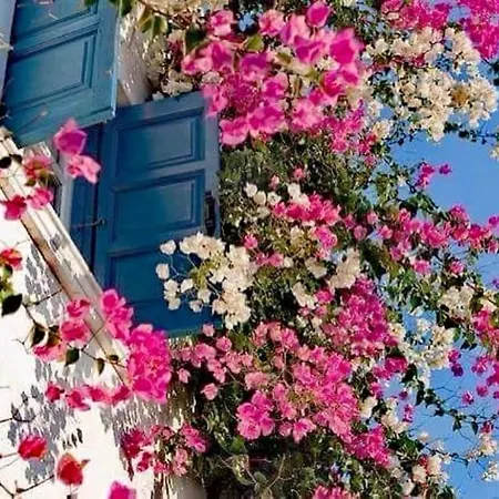 Sunsenses Ariadne Piso Livadi