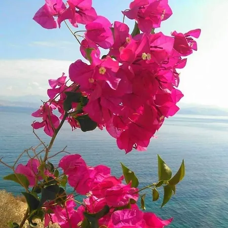 Vila Sunsenses Ariadne *