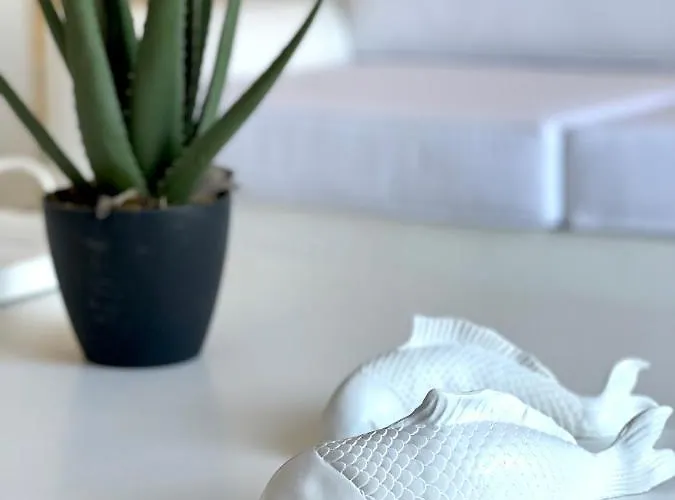 Sunsenses Ariadne * פיסו ליבאדי