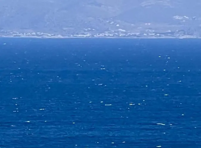 Sunsenses Ariadne * ピソ ・リバディ