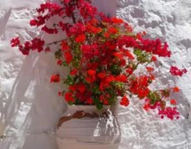 וילה Sunsenses Ariadne פיסו ליבאדי