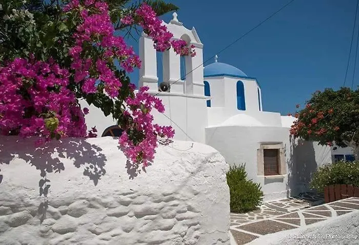 Sunsenses Ariadne * פיסו ליבאדי