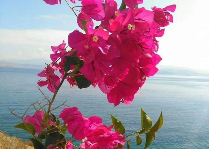 וילה Sunsenses Ariadne *